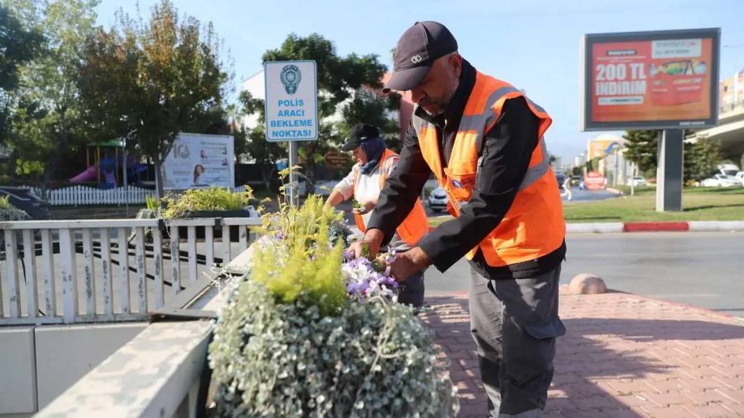 Antalya’ya Kış 4 Milyon Çiçekle Rengarenk Gelecek! 4